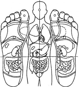 Reflexna_schema_chodidla